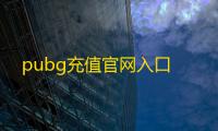 pubg充值官网入口